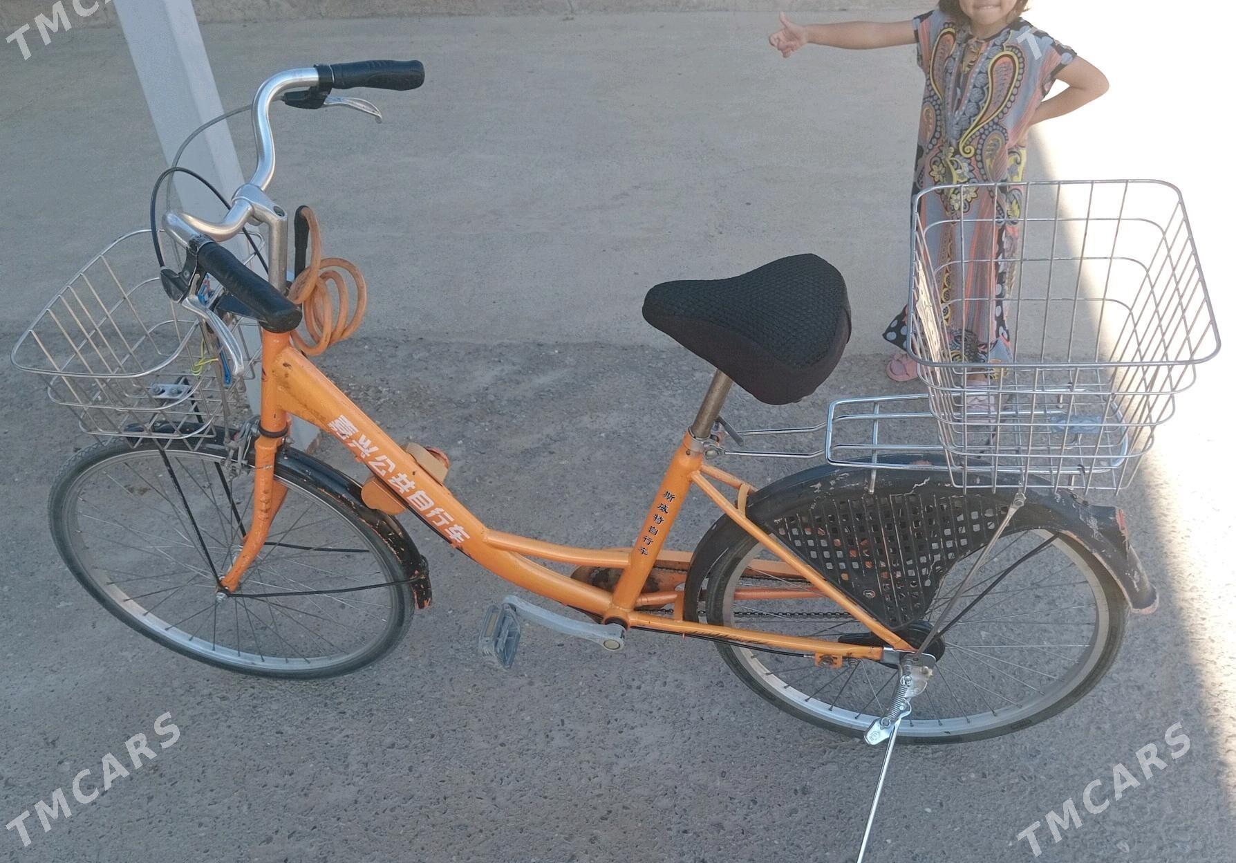 tigir - Анев - img 1