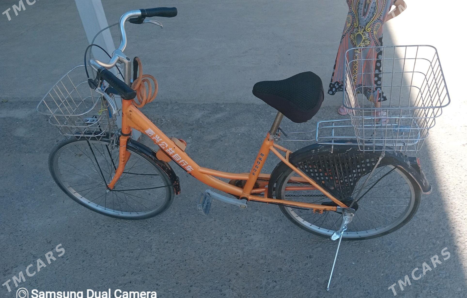 tigir - Анев - img 2