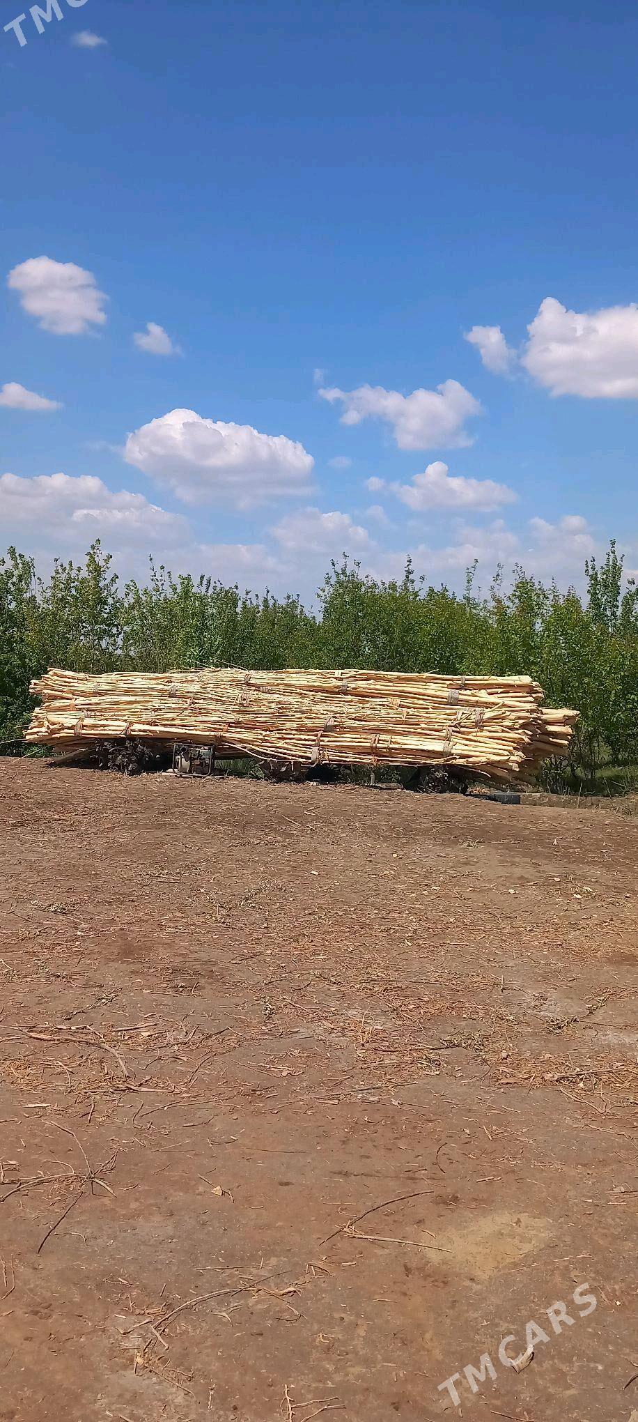 hada - Кёнеургенч - img 2