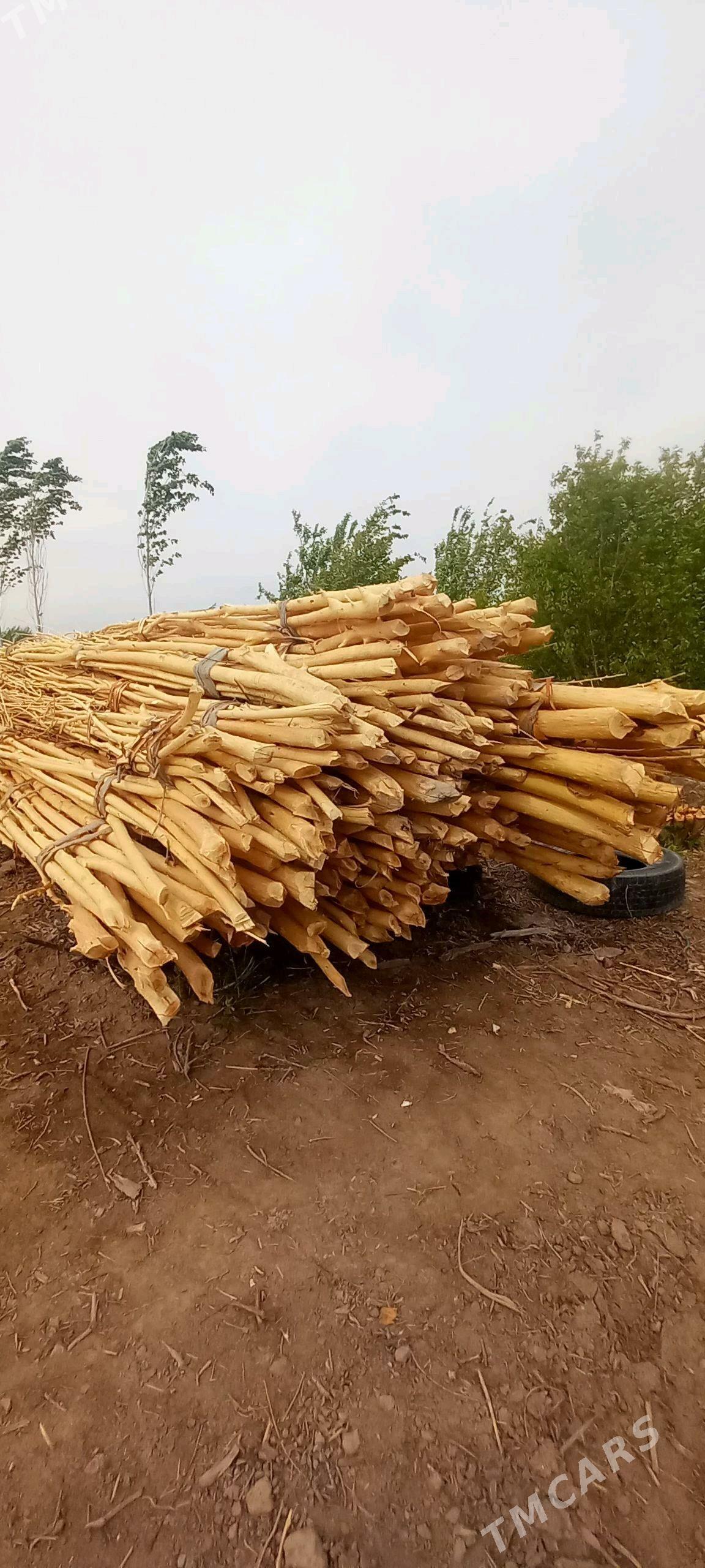 hada - Кёнеургенч - img 3