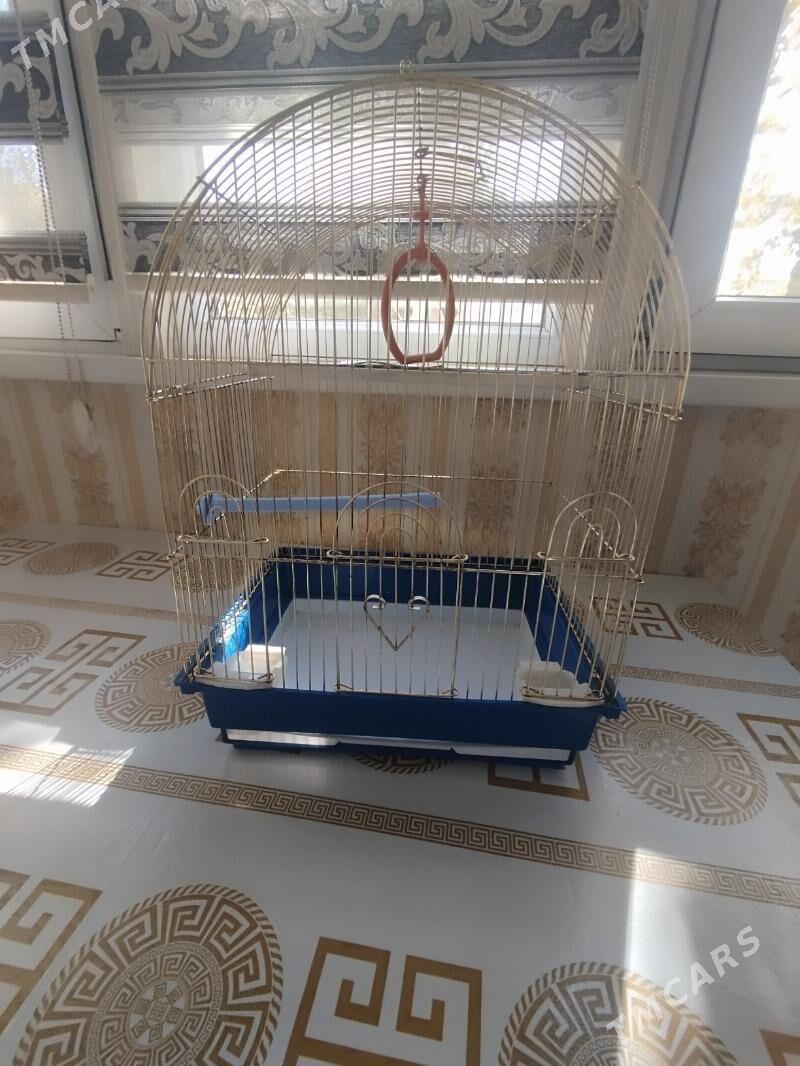 Клетка - Ашхабад - img 1