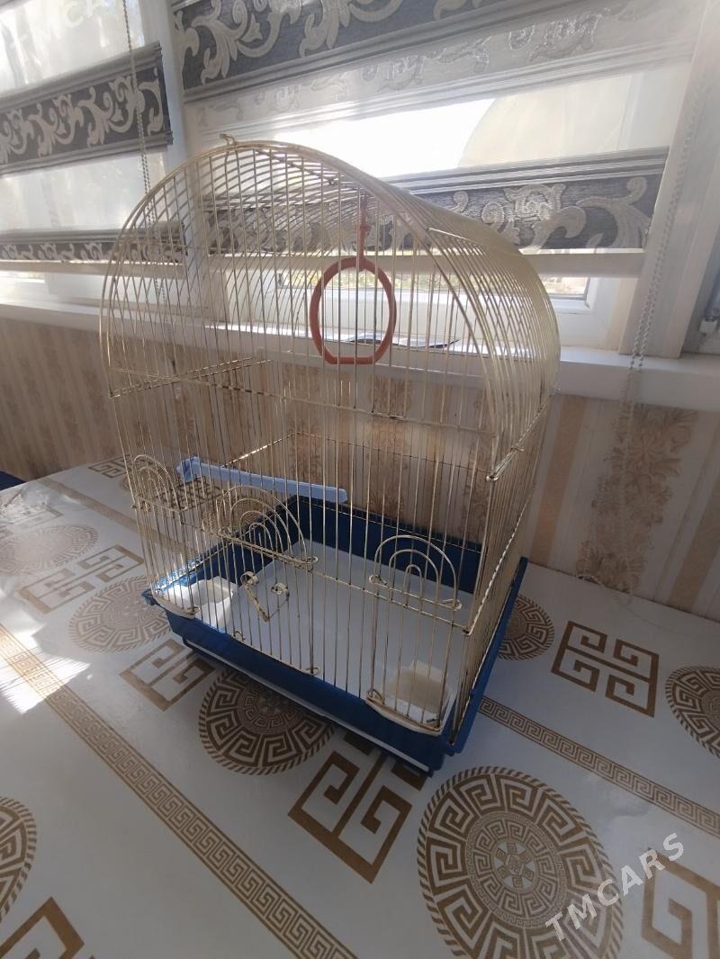 Клетка - Ашхабад - img 2