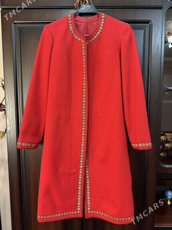 Talyp begres - Гуртли - img 1