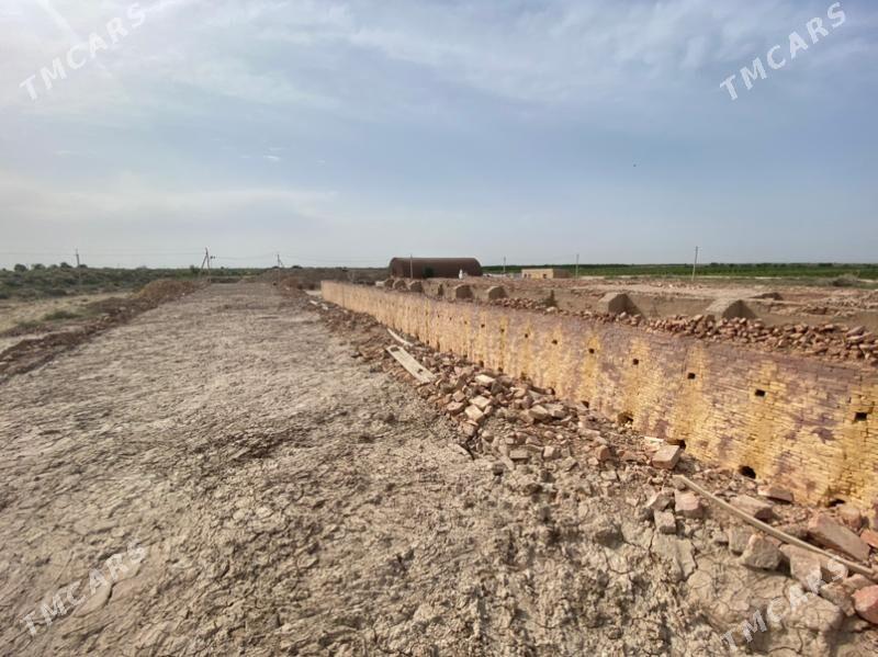 hususy kerpiç zawod - Туркменабат - img 10