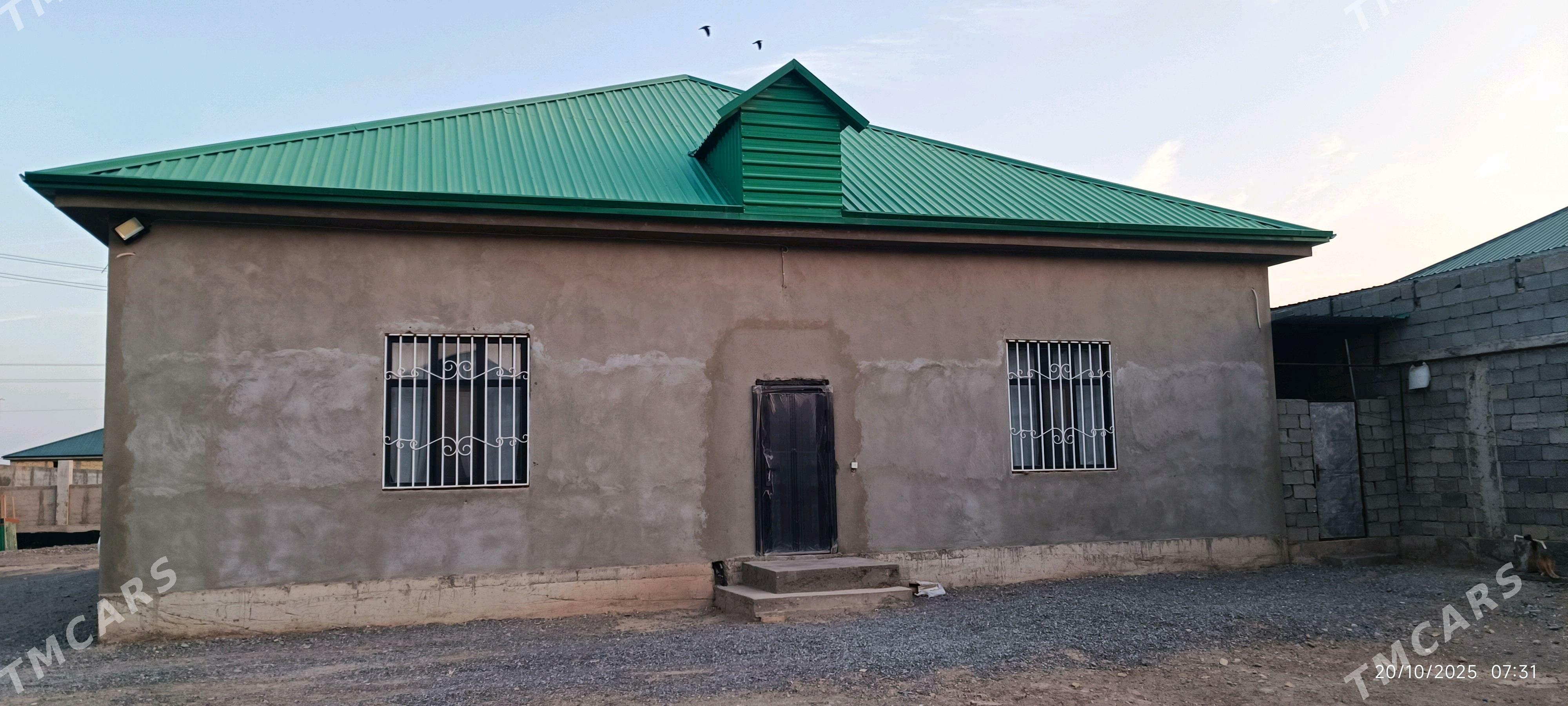 Anew Magtymguly 12 SOTKA 5 kom - Ak bugdaý etraby - img 3