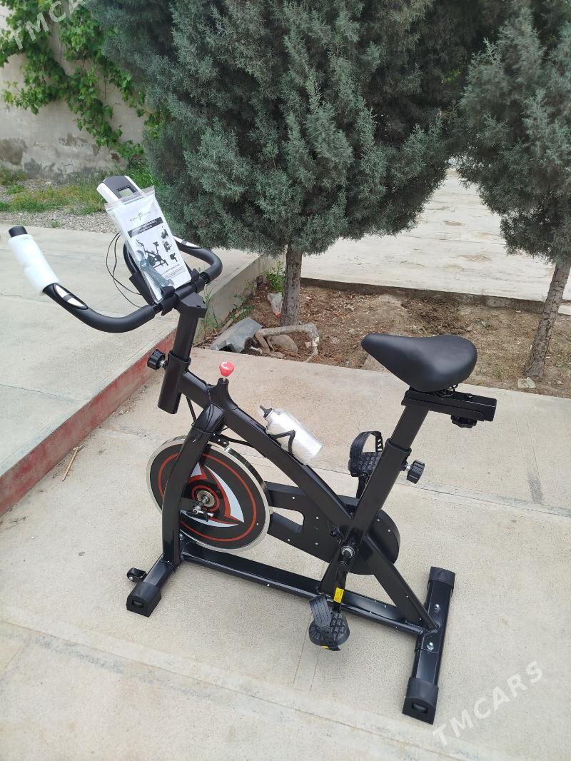 Welotrnazor - Mary - img 4