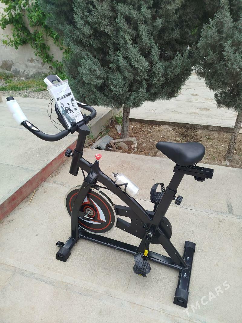 Welotrnazor - Mary - img 3