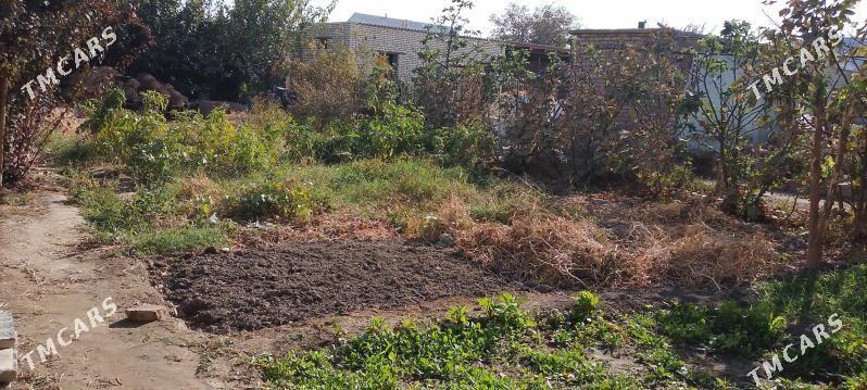 jay Mary - Mary - img 3