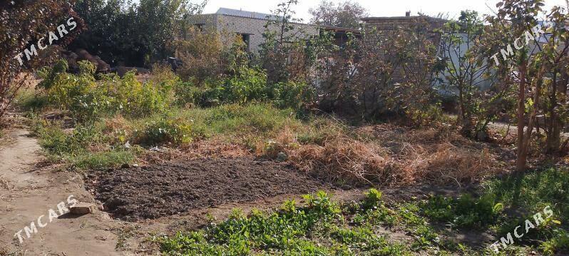 jay Mary - Mary - img 4