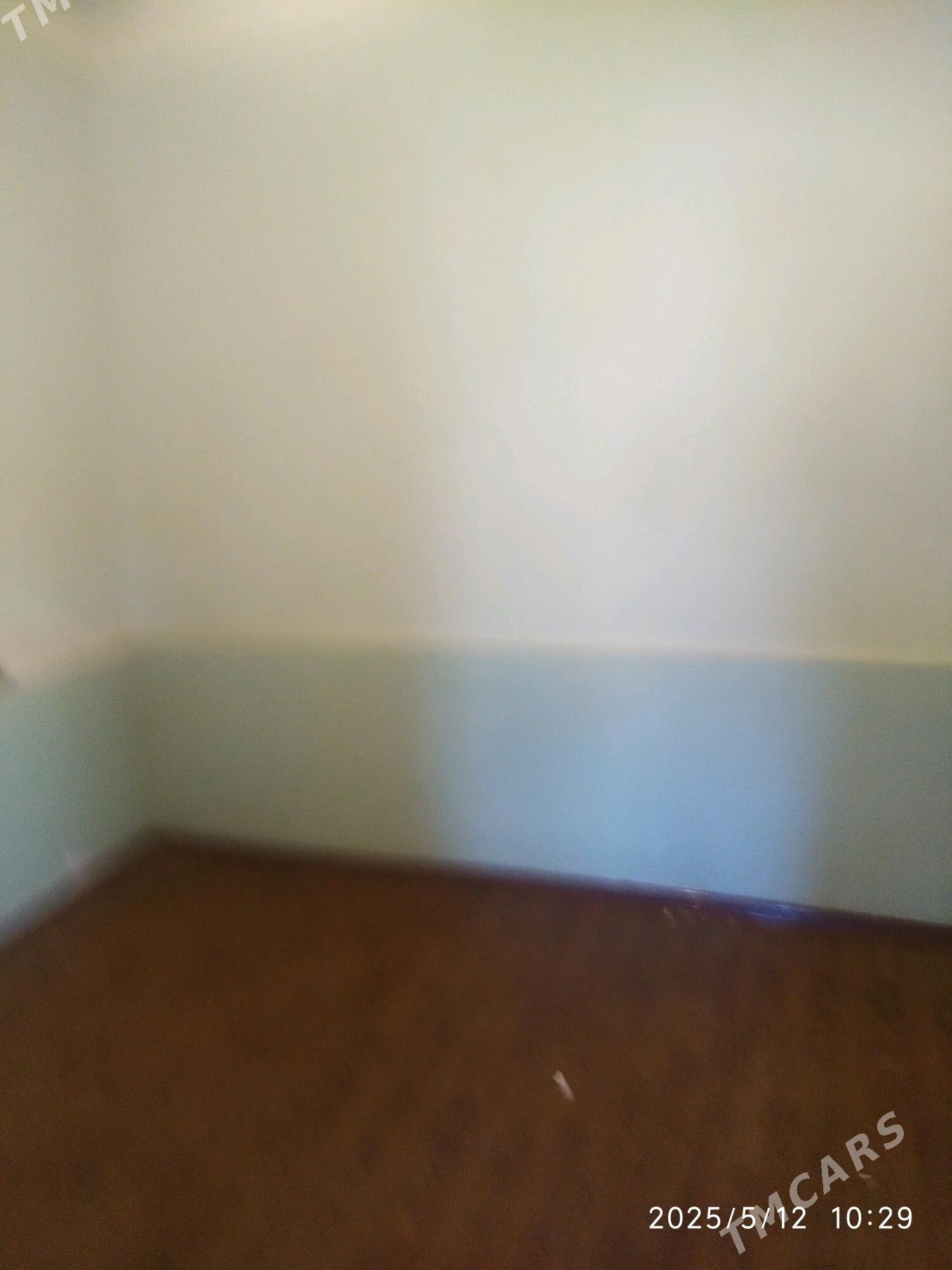 Satlyk jay - Мары - img 4