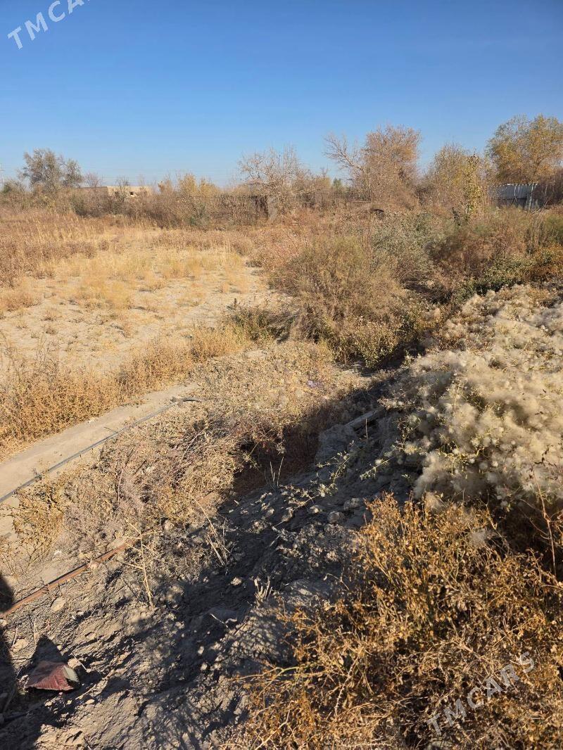 Ucaska jay taze oba - Дашогуз - img 5