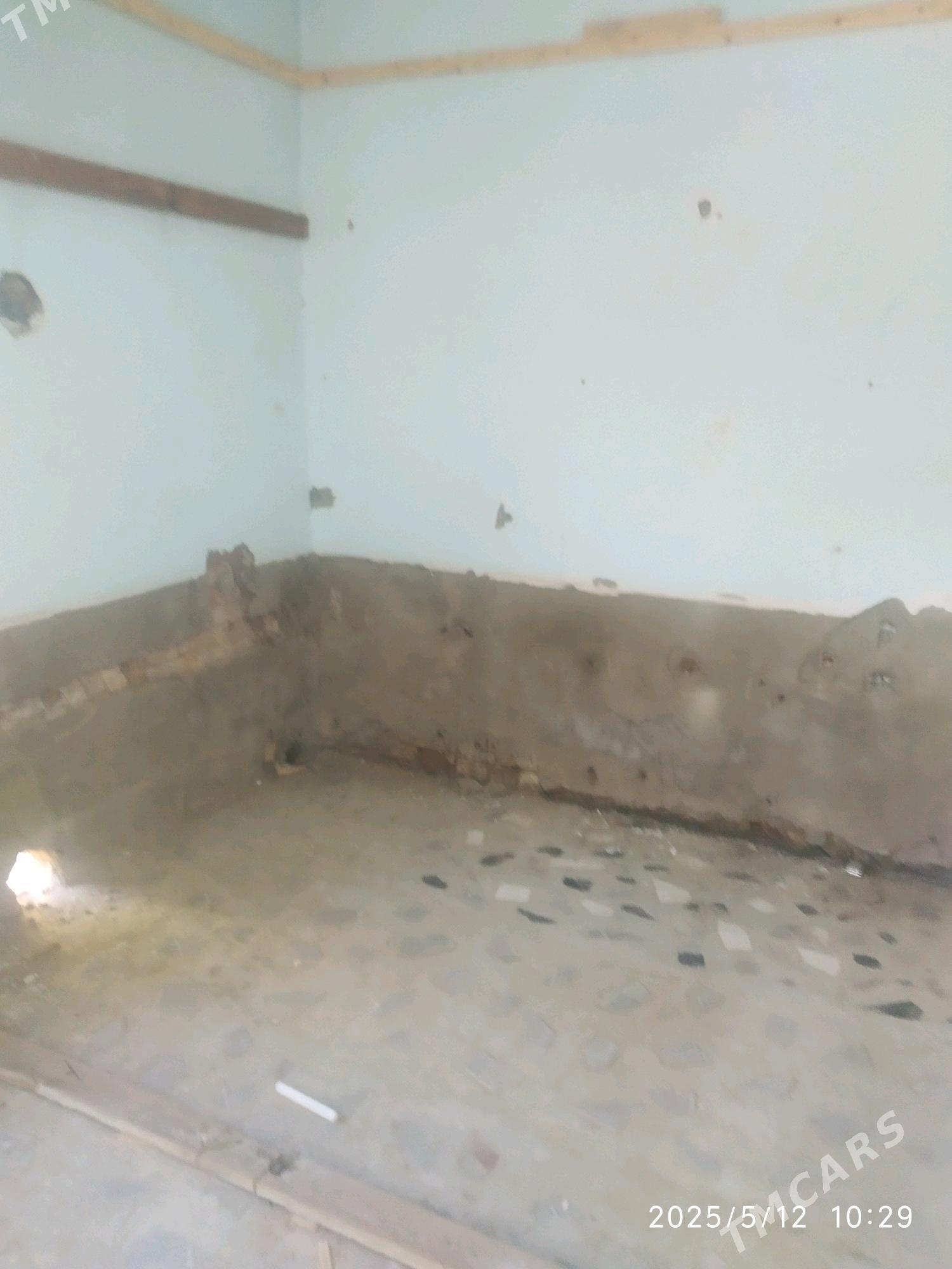 Satlyk jay - Мары - img 3