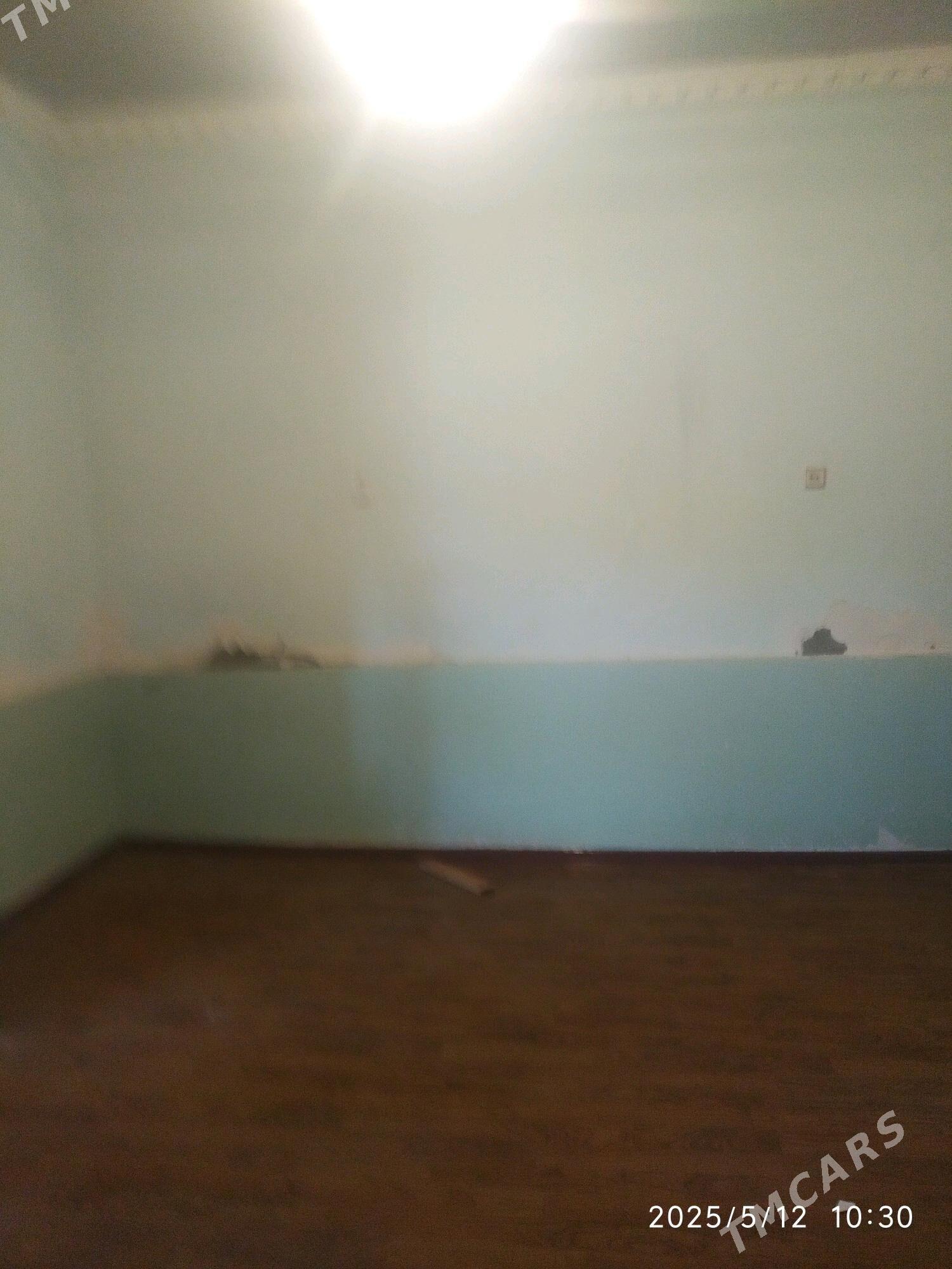 Satlyk jay - Мары - img 7