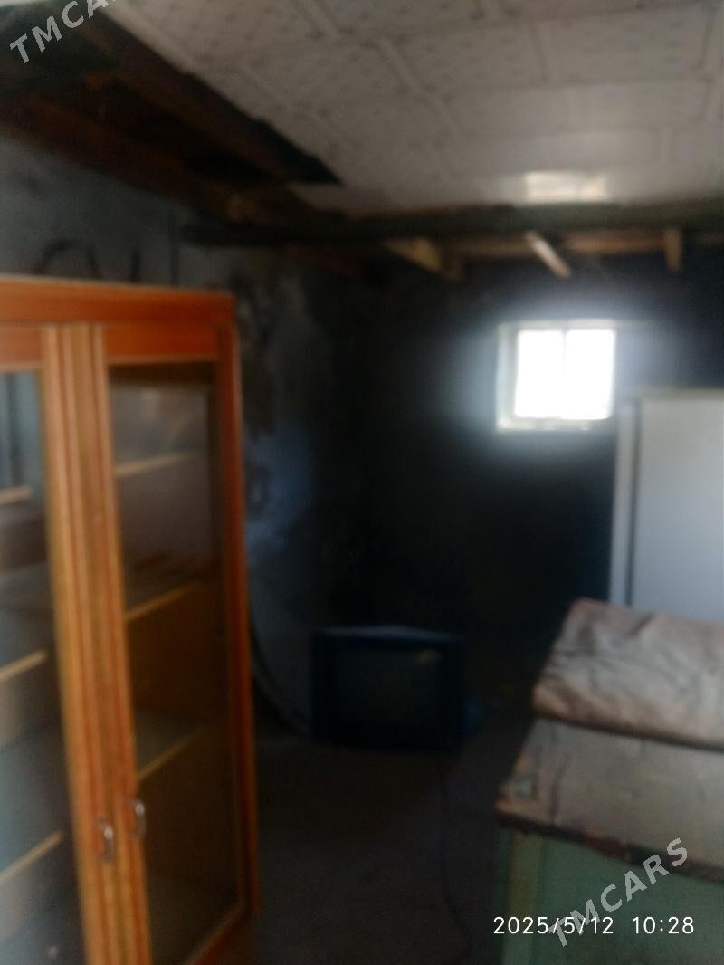 Satlyk jay - Мары - img 8