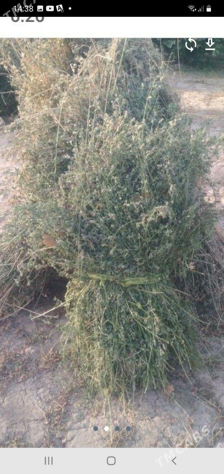 bede - Farap - img 1