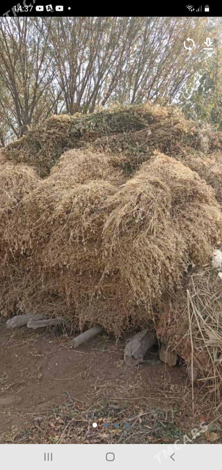 bede - Farap - img 2