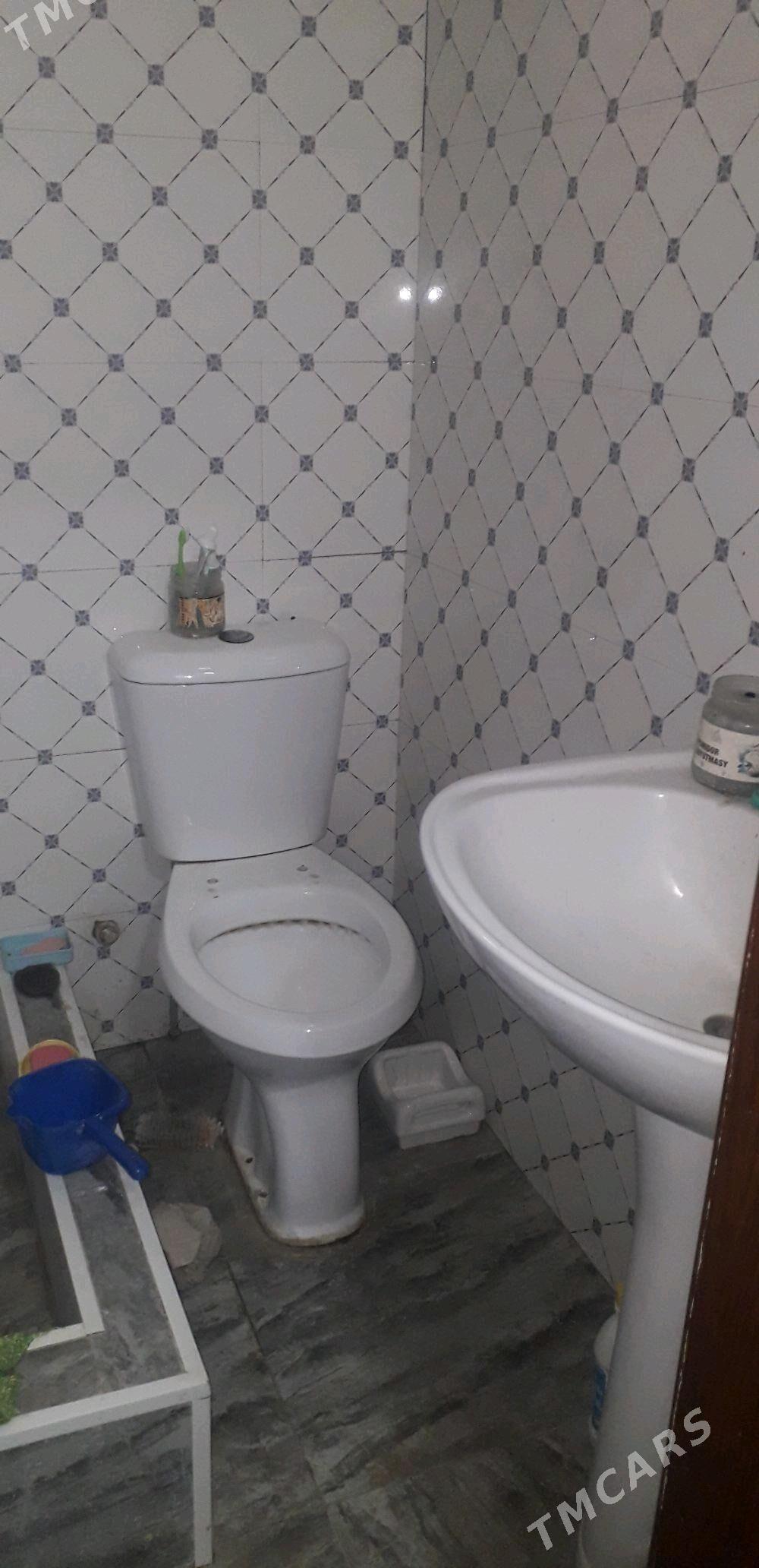 Talhany jay - Büzmeýin - img 5