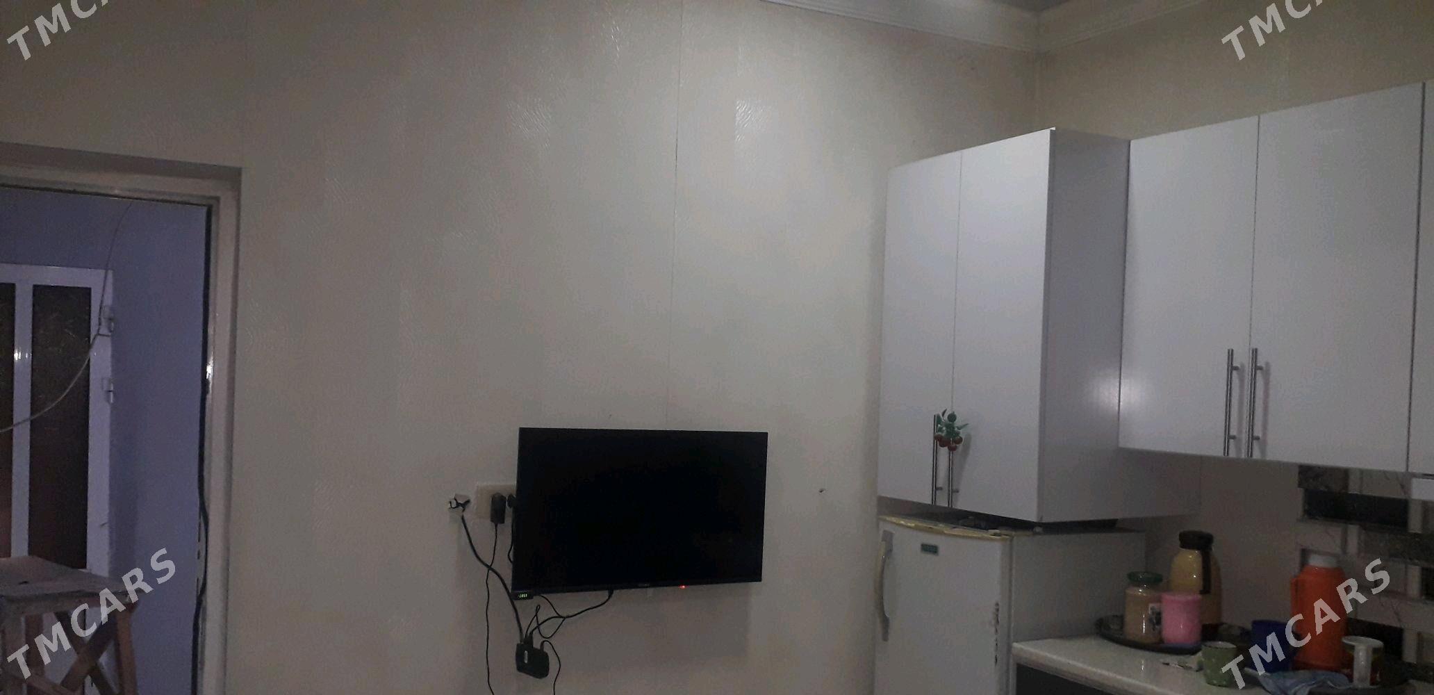 Talhany jay - Büzmeýin - img 3