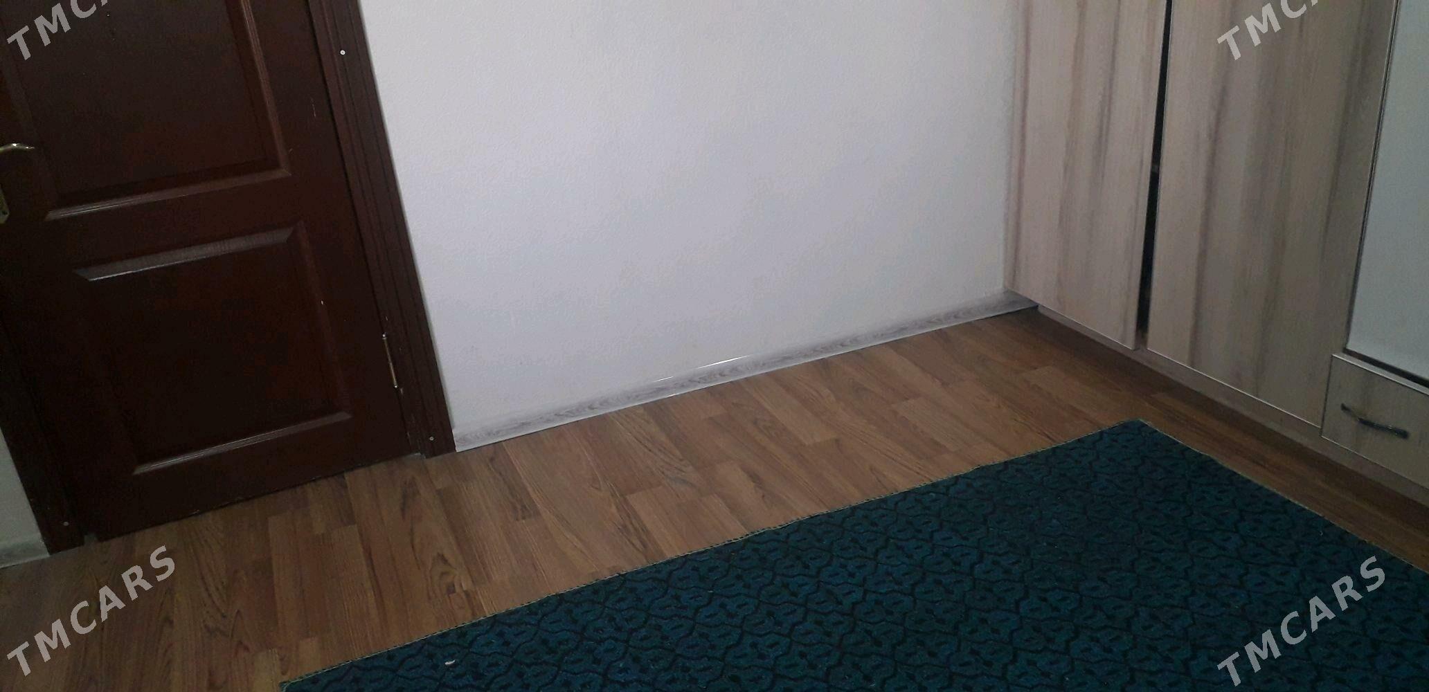 Talhany jay - Büzmeýin - img 2