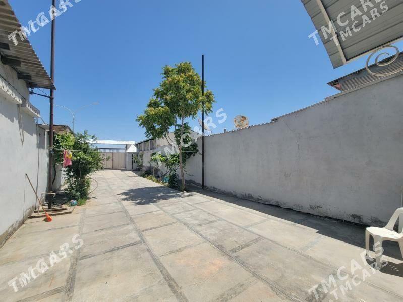 kotej jay - Мары - img 1