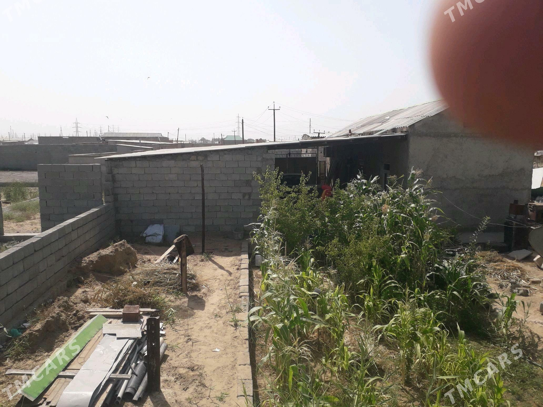 Talhany jay - Büzmeýin - img 8