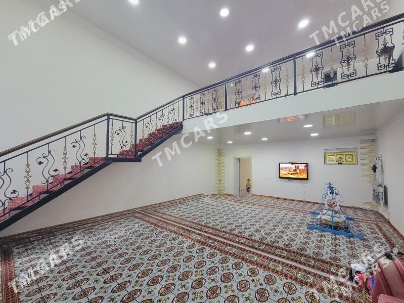 kotej jay - Мары - img 3