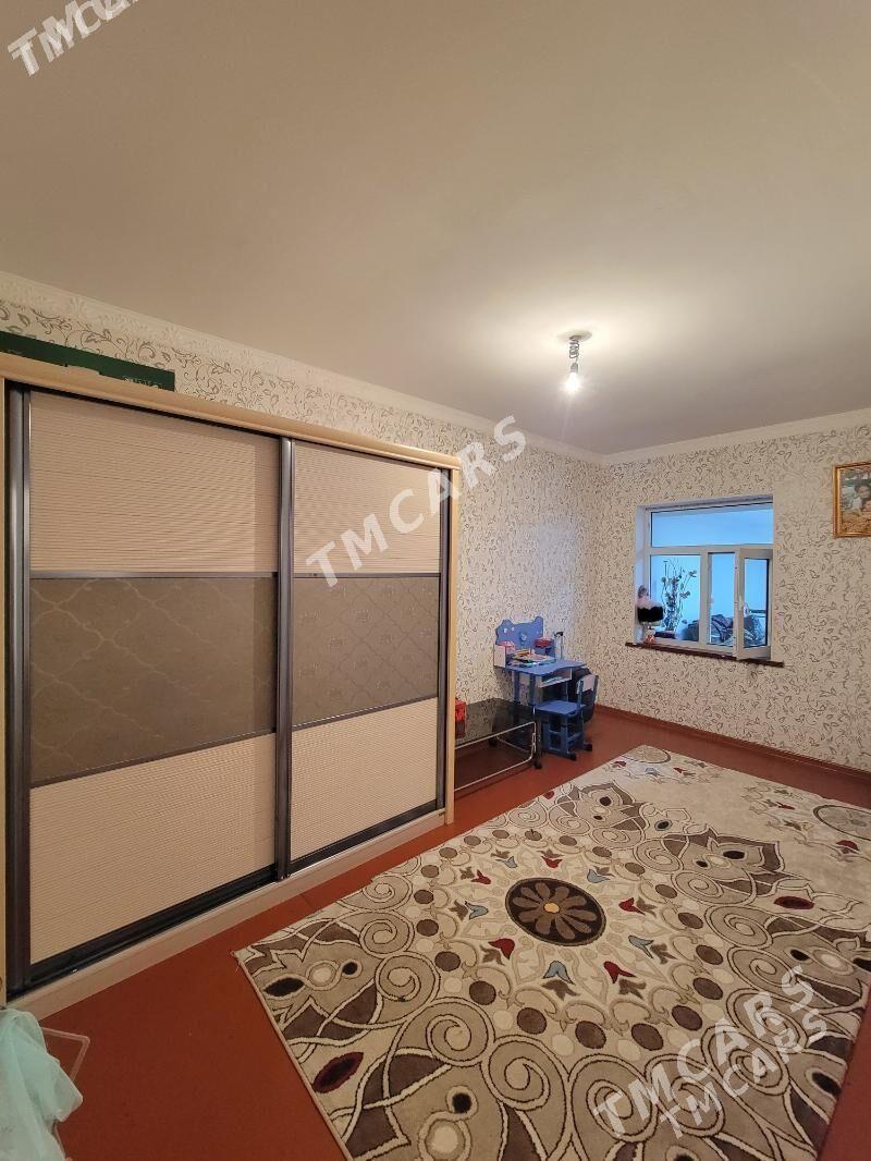 kotej jay - Мары - img 4