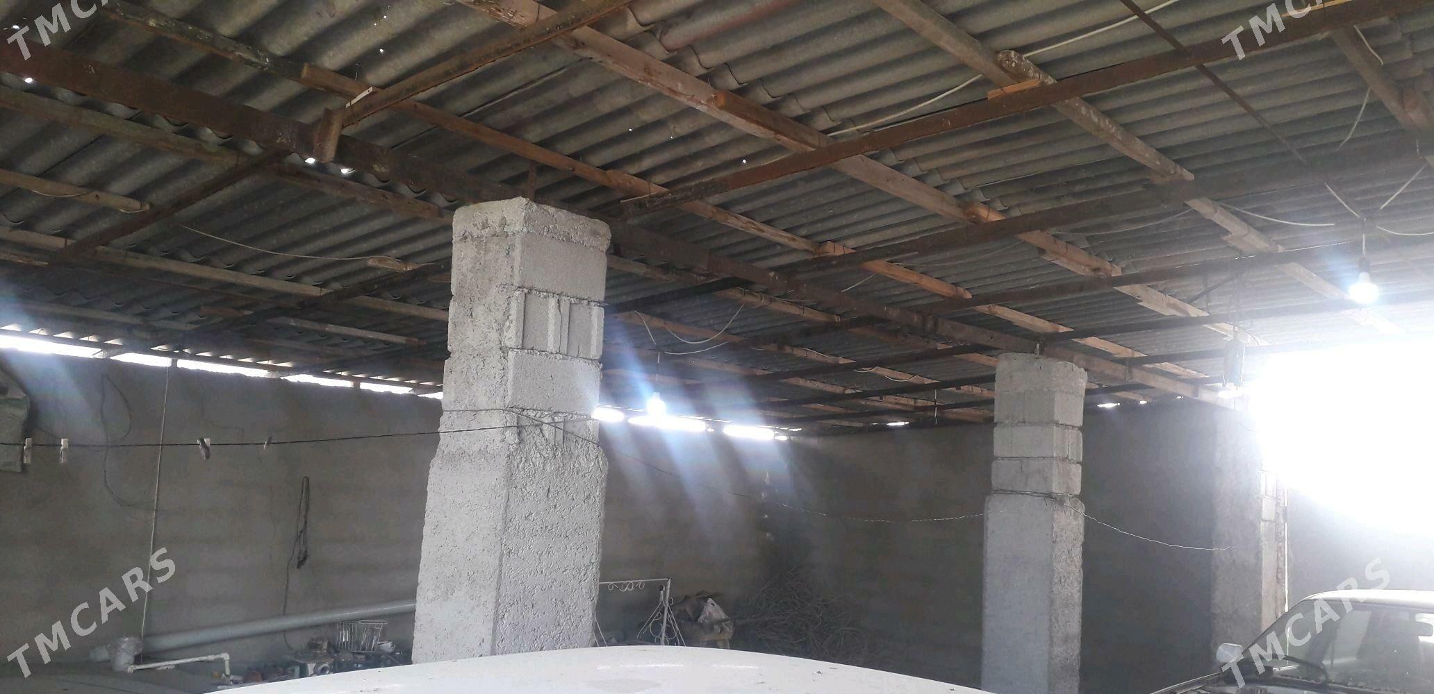 Talhany jay - Büzmeýin - img 6