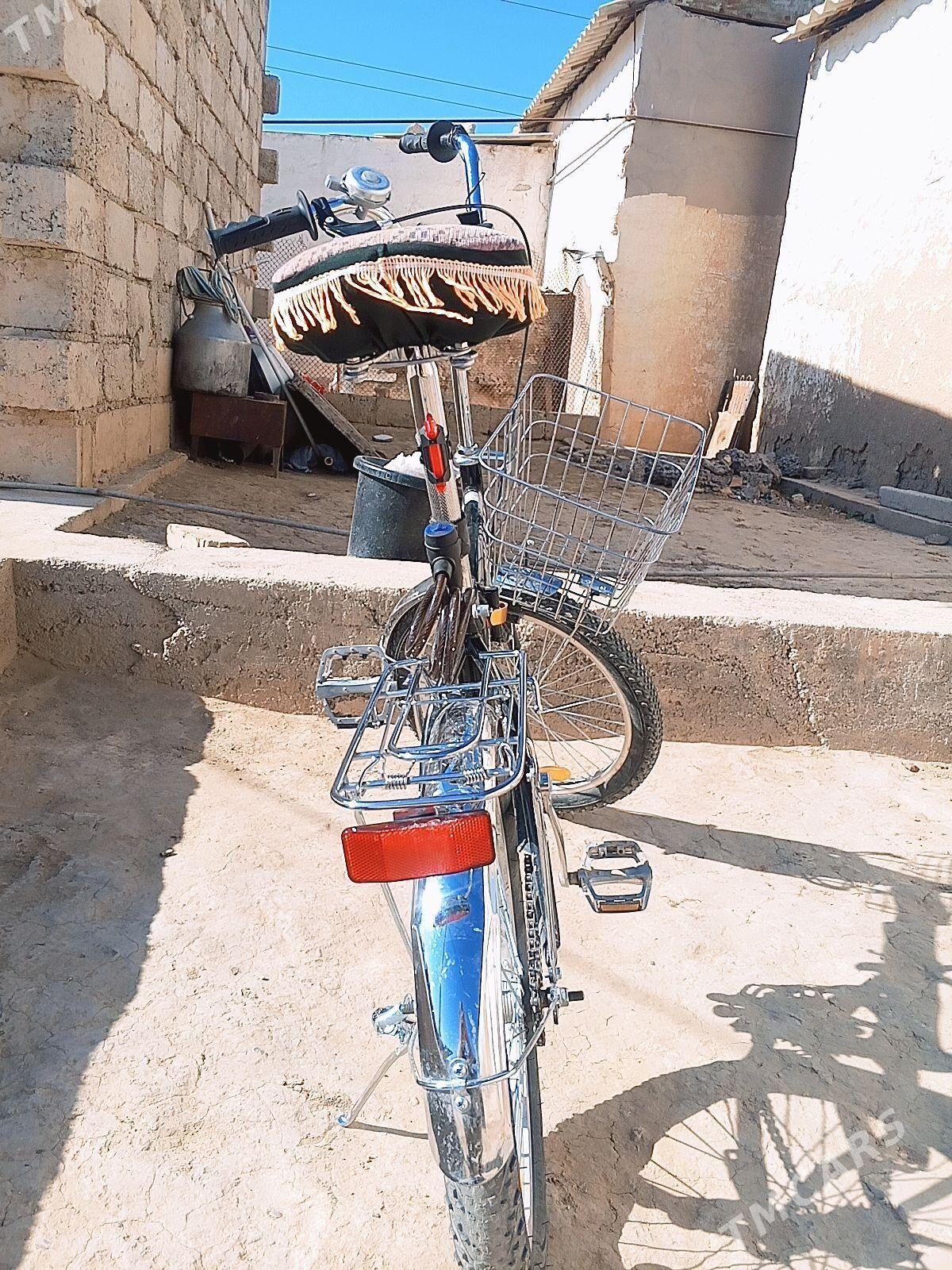 kama tigir - Ýaşlyk - img 3