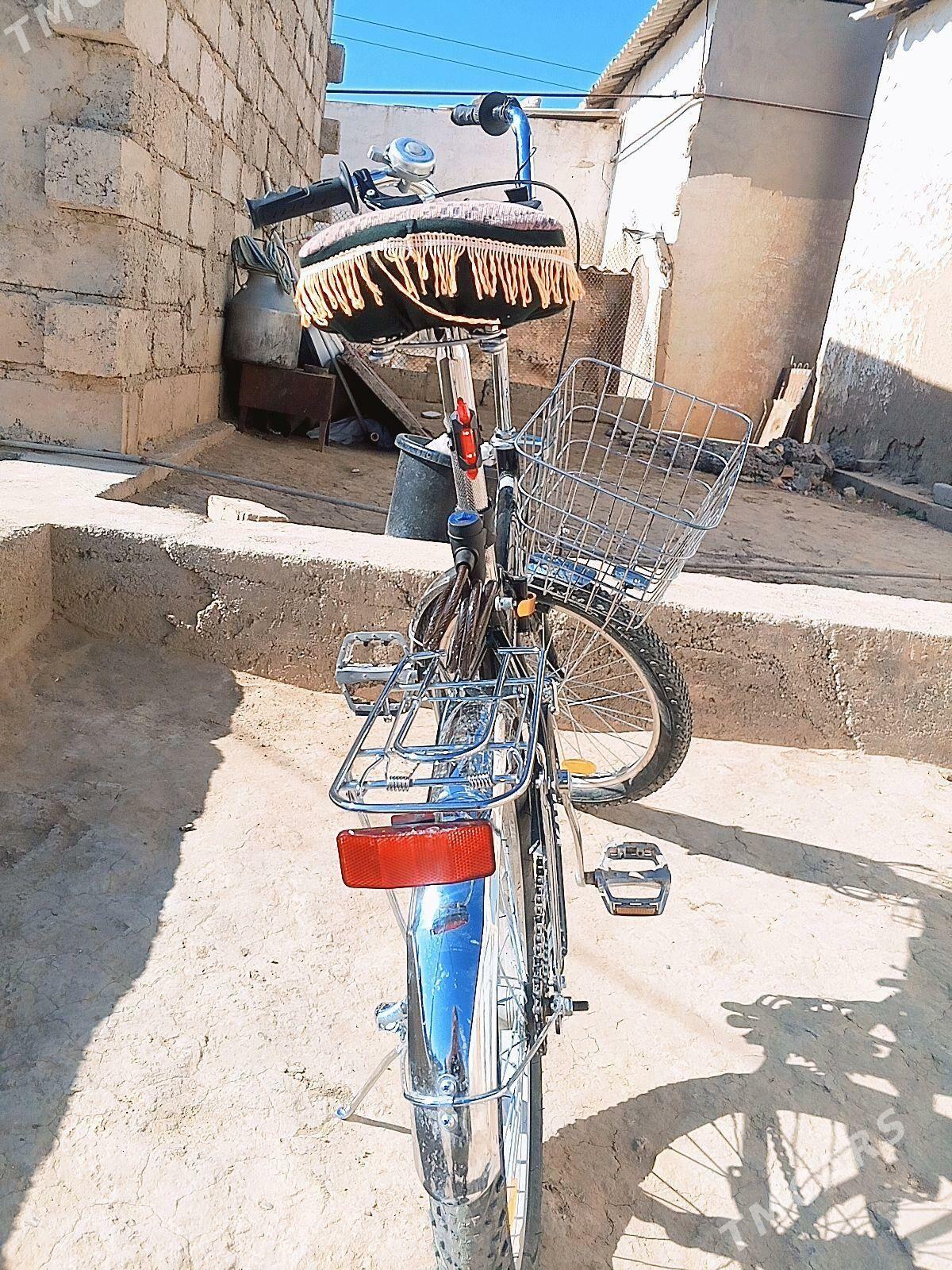 kama tigir - Ýaşlyk - img 4