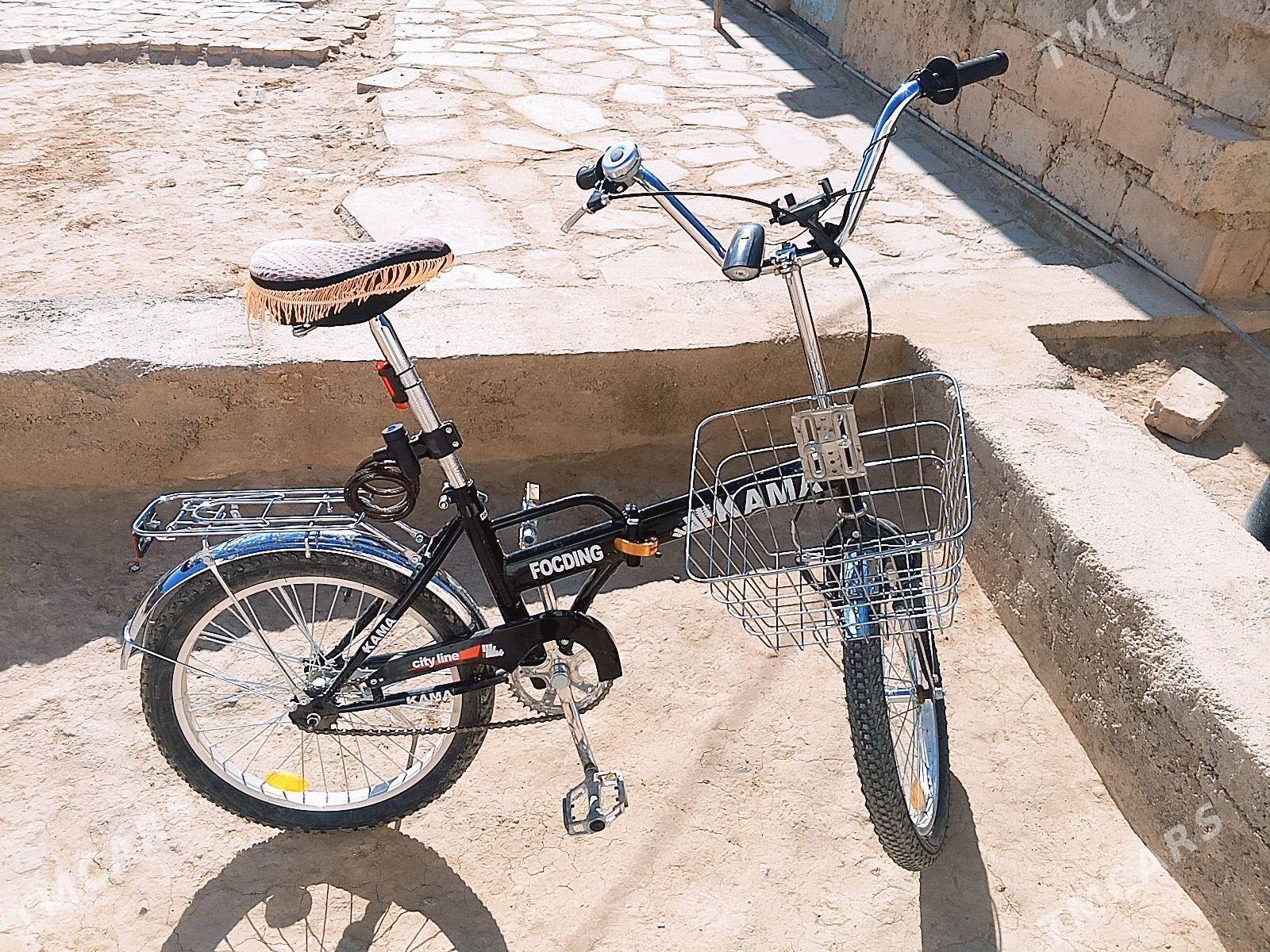 kama tigir - Ýaşlyk - img 5