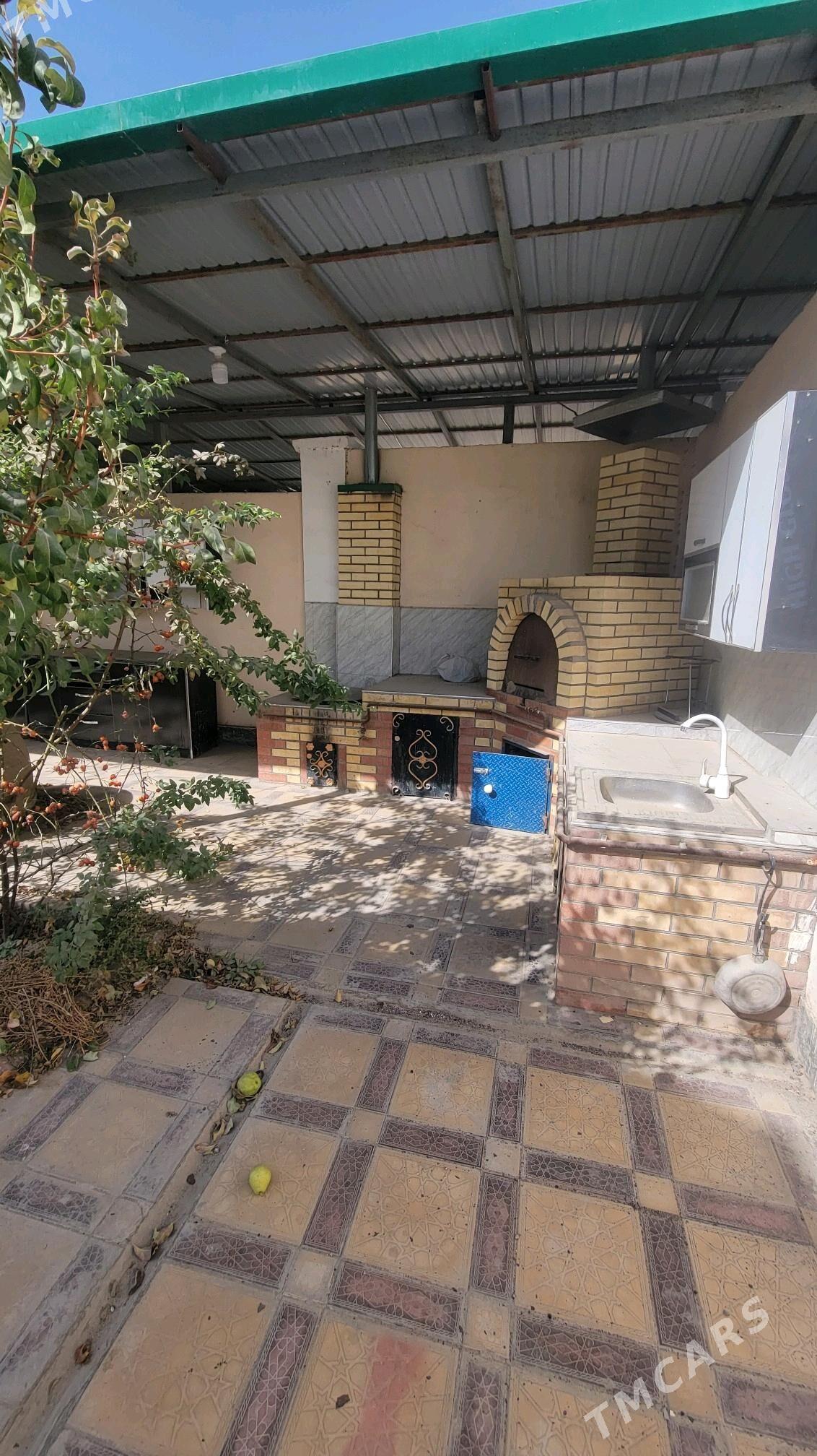 kates kerpicka - Туркменабат - img 1