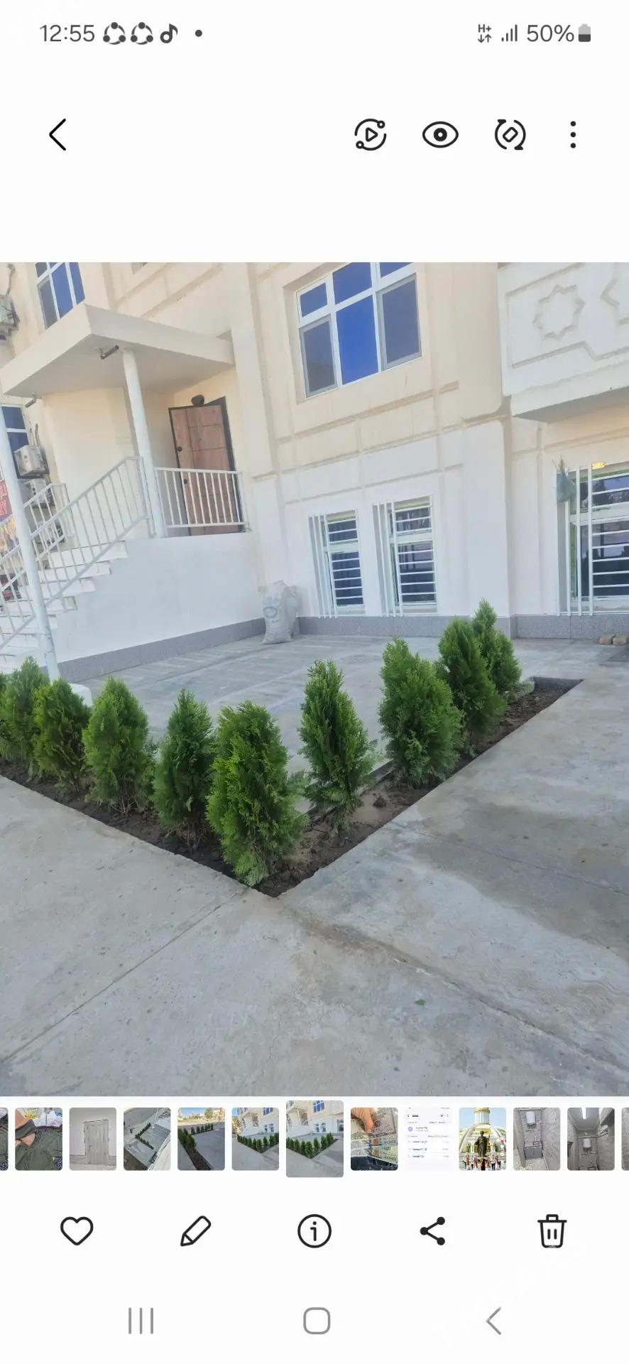 Аренда подвал тикинчилик ойи - Туркменабат - img 2