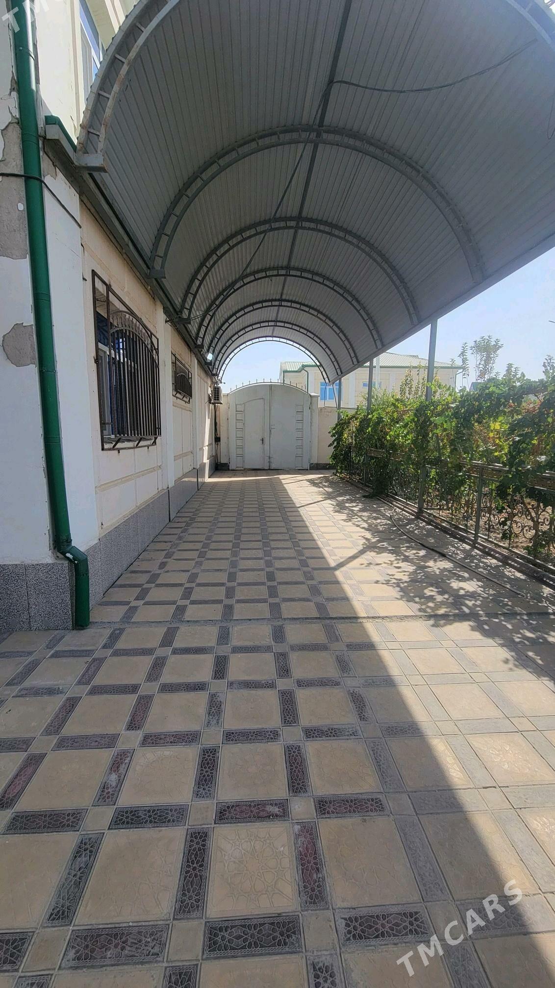 kates kerpicka - Туркменабат - img 3