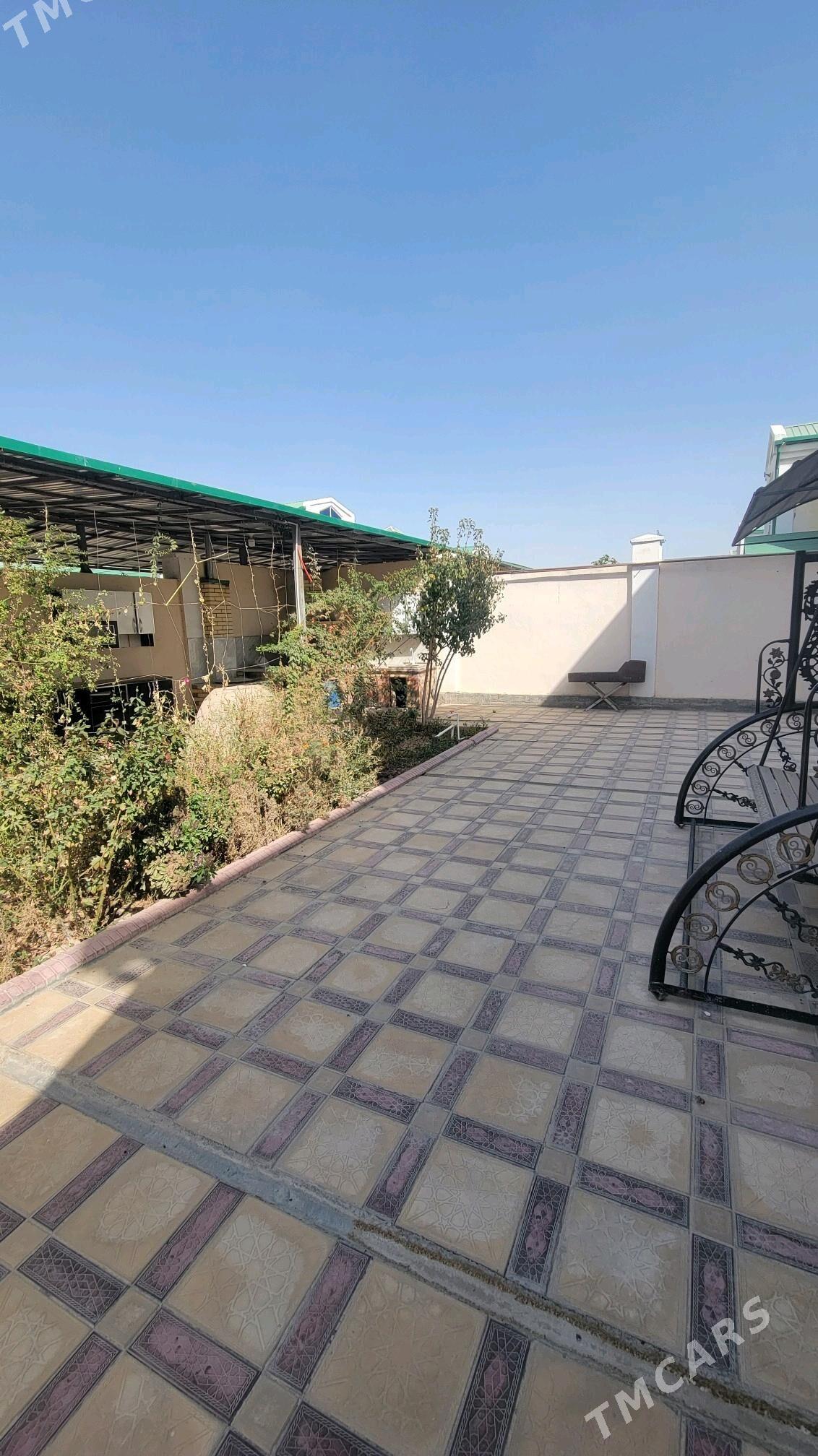 kates kerpicka - Туркменабат - img 2