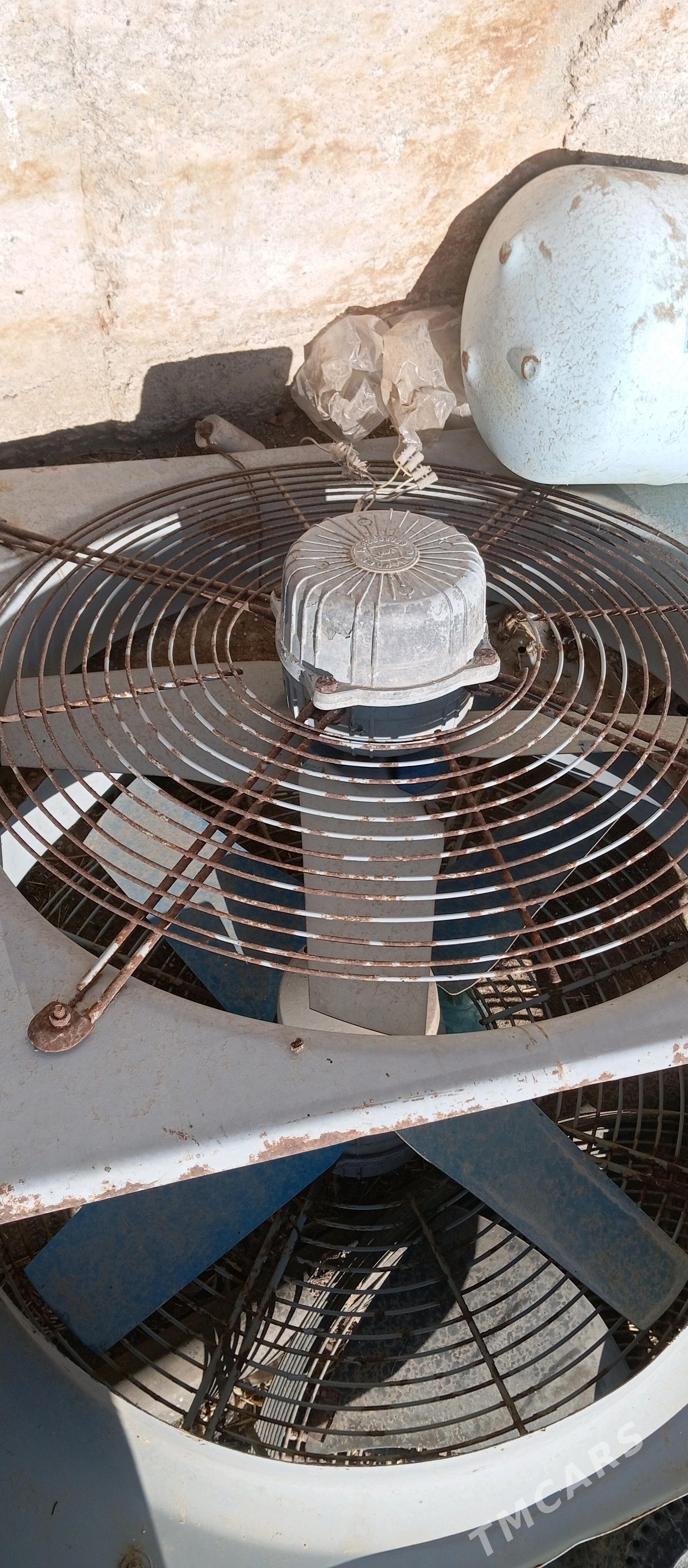 Howalanirma - Анев - img 4