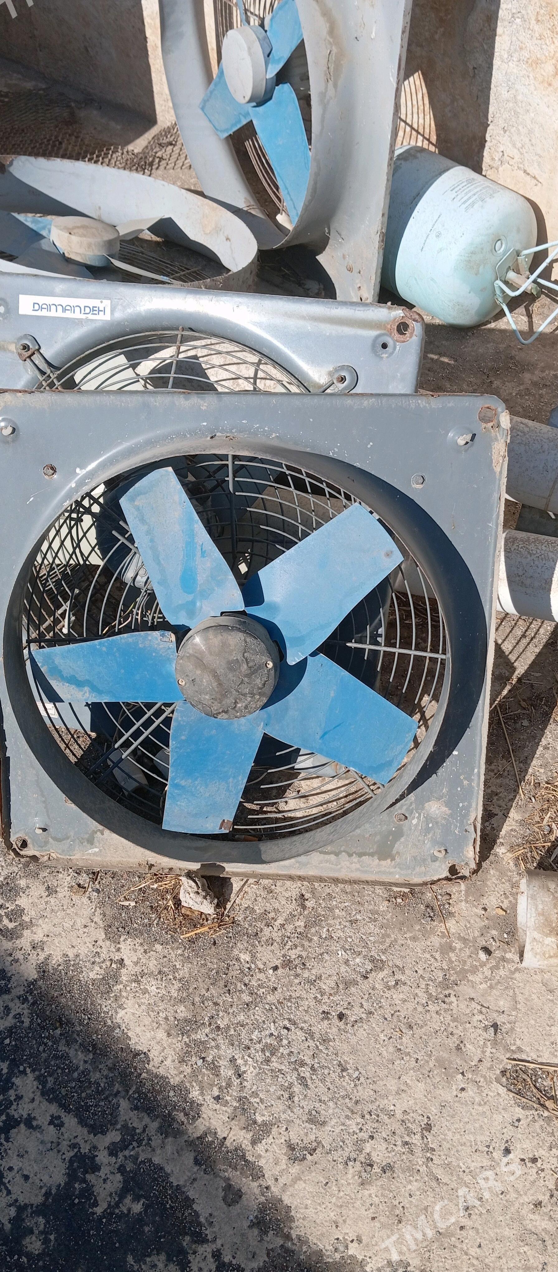 Howalanirma - Анев - img 2