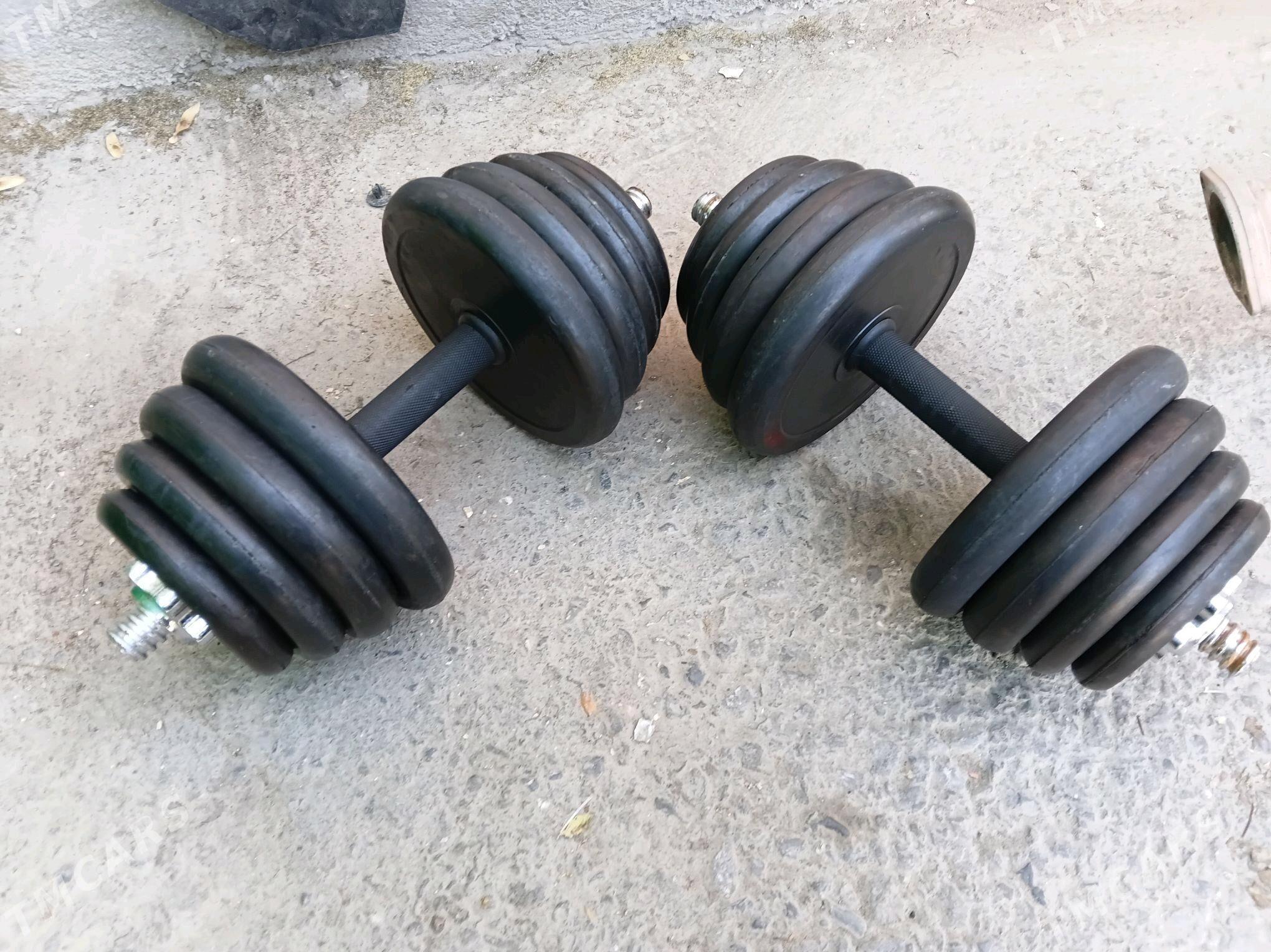 gantel - 30 mkr - img 2