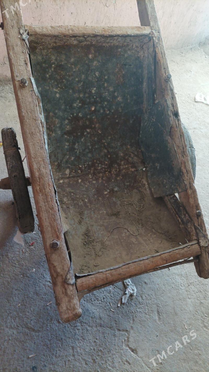 телешка - Türkmenabat - img 3