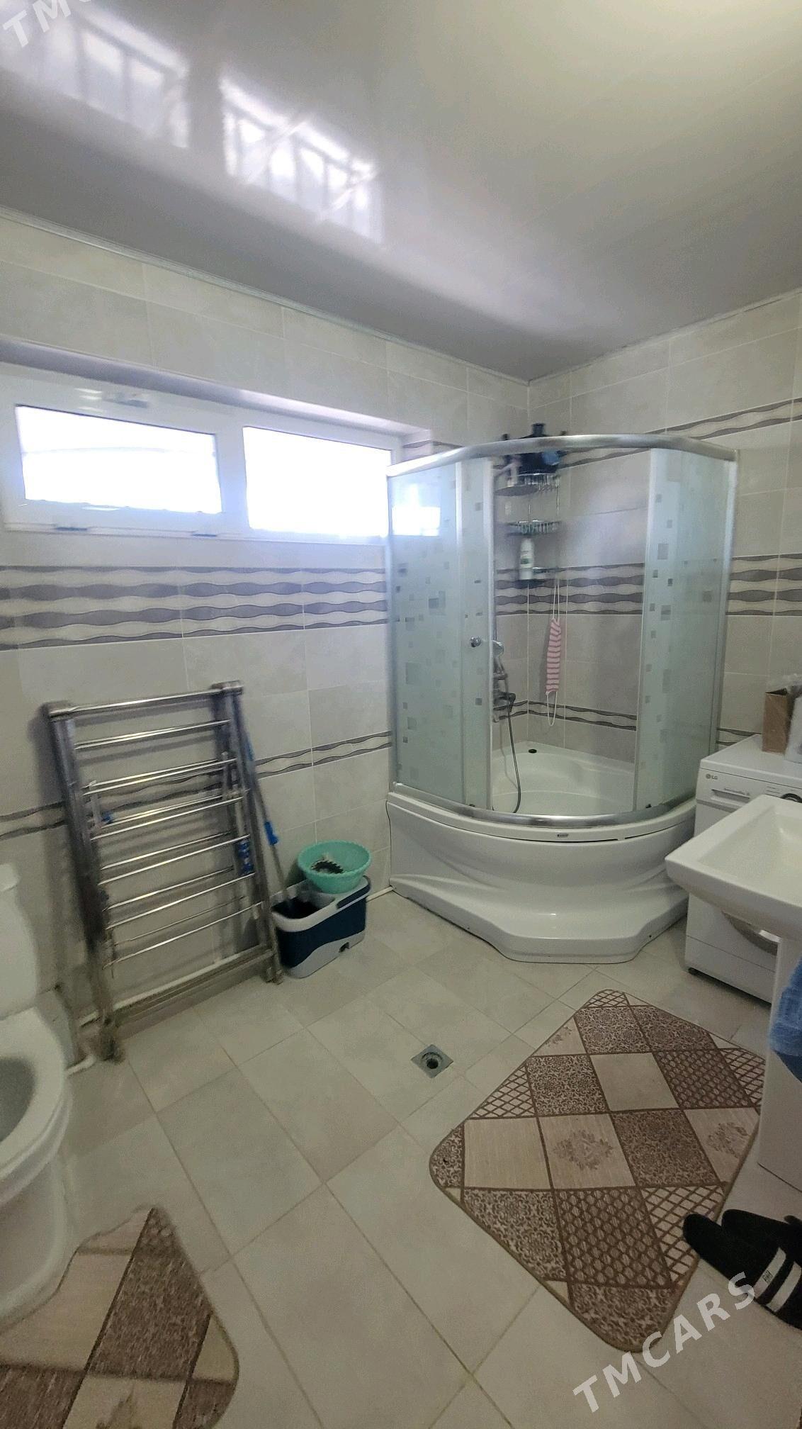 kates kerpicka - Туркменабат - img 6