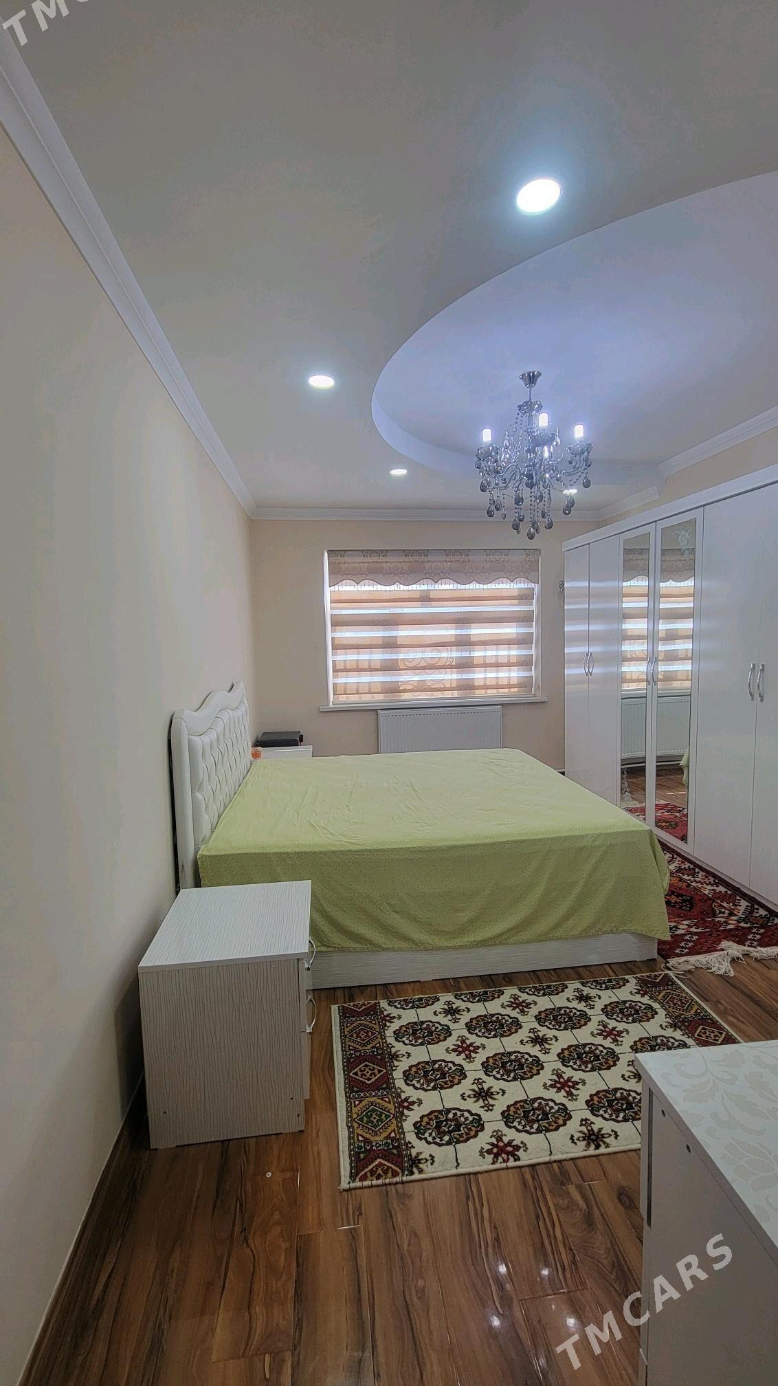 kates kerpicka - Туркменабат - img 9