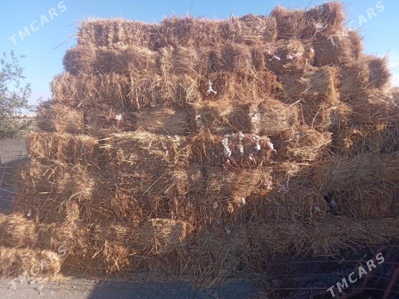 bede - Бахарден - img 3