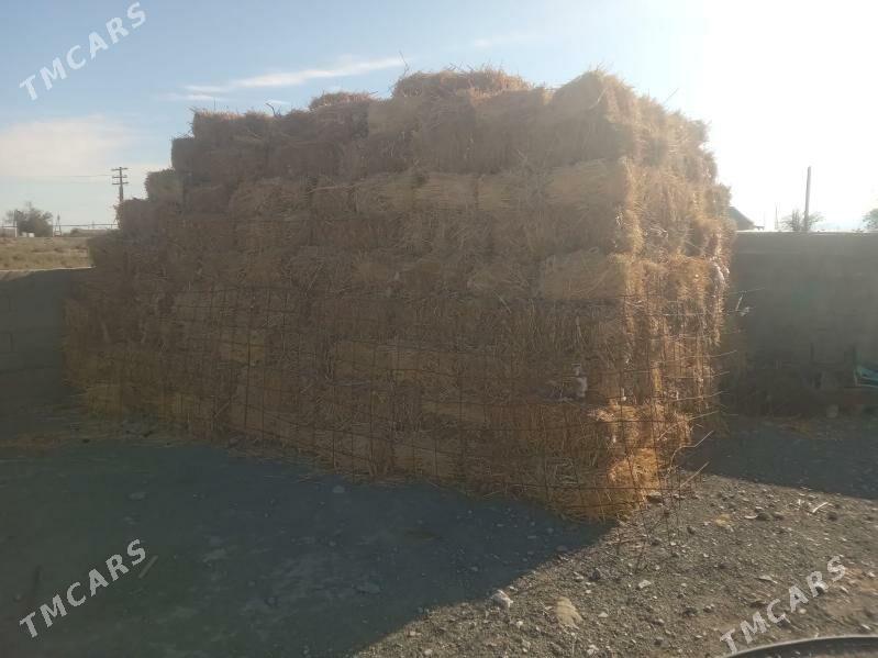 bede - Бахарден - img 2