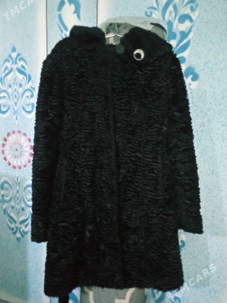 Geçiñ ýüñünden edilen şuba - Шатлык - img 2