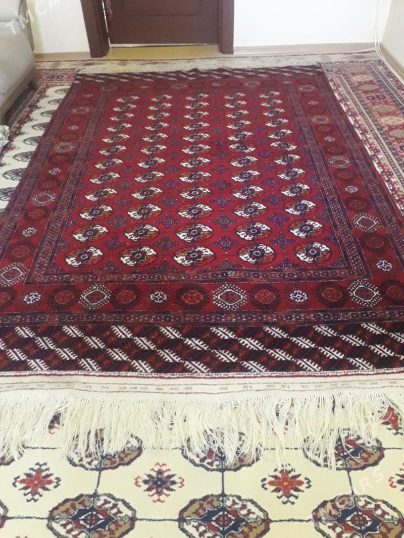 El Haly - Köşi - img 1