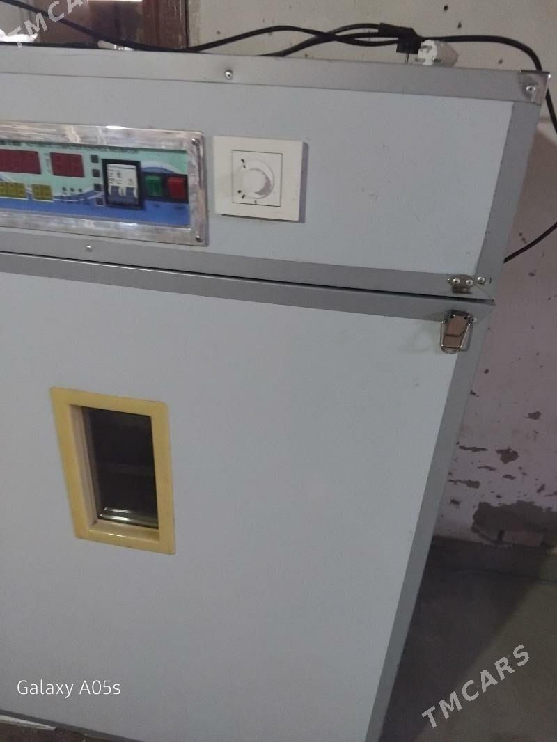 inkubator - Байрамали - img 1