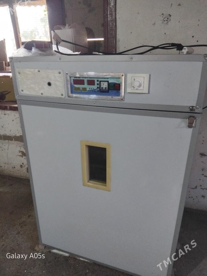 inkubator - Байрамали - img 2