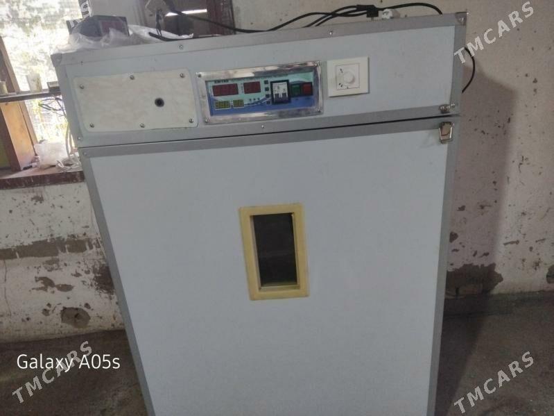 inkubator - Байрамали - img 3