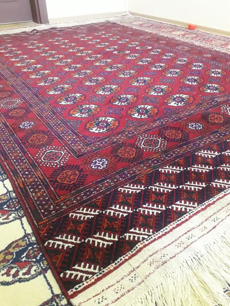 El Haly - Köşi - img 2