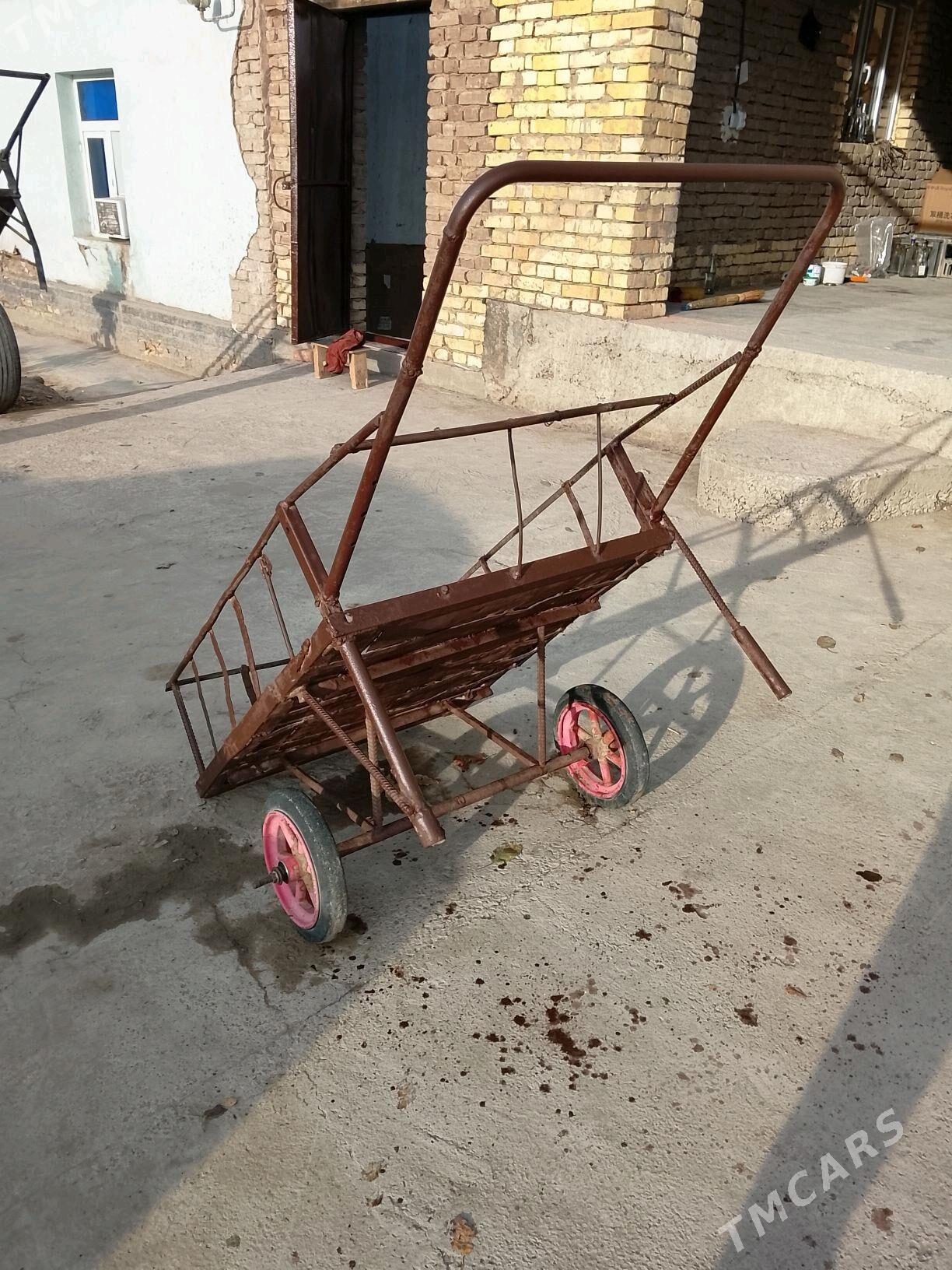 arwa - Daşoguz - img 2